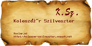 Koleszár Szilveszter névjegykártya